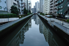 運河、雨