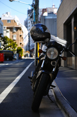 SDIM0019