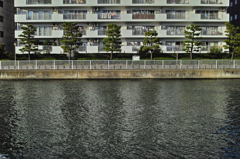 川辺