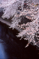 淡く濃く