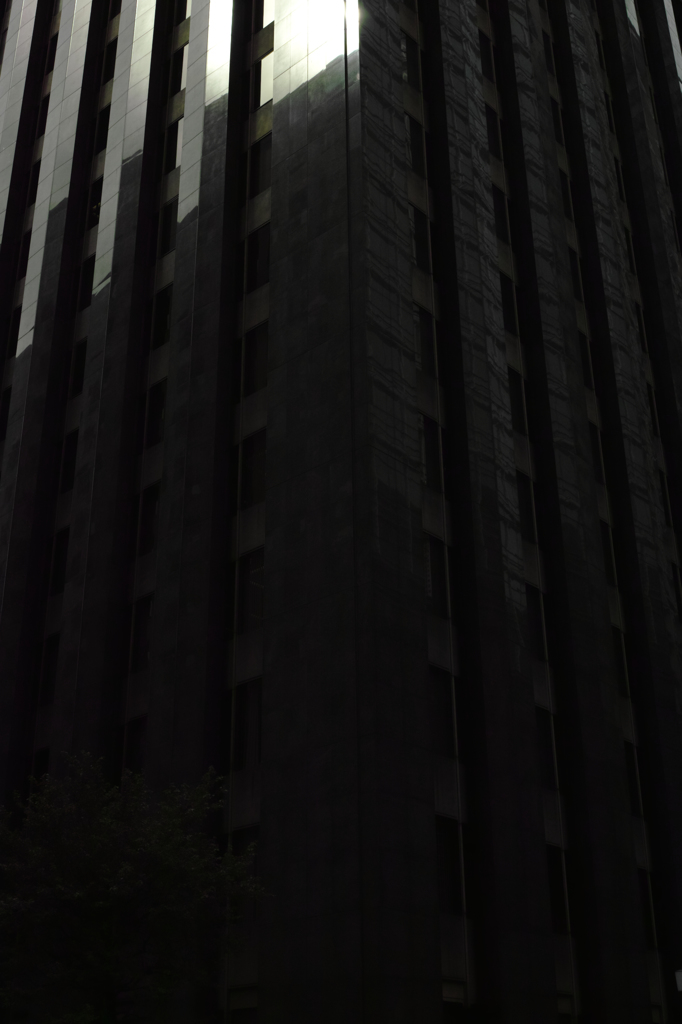 SDIM0697