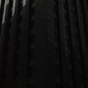 SDIM0697