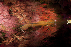 シンメトリー
