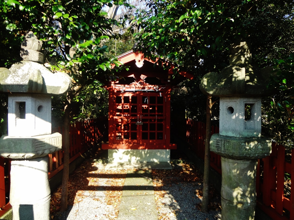 DSC01416