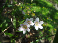DSC02718