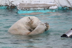 撮らないでぇ！