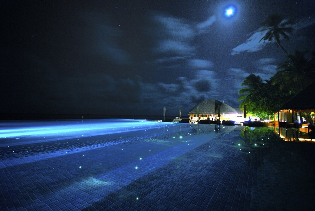 お月さんとプール huvafen fushi maldives
