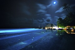 お月さんとプール huvafen fushi maldives
