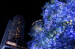 X'mas Blue