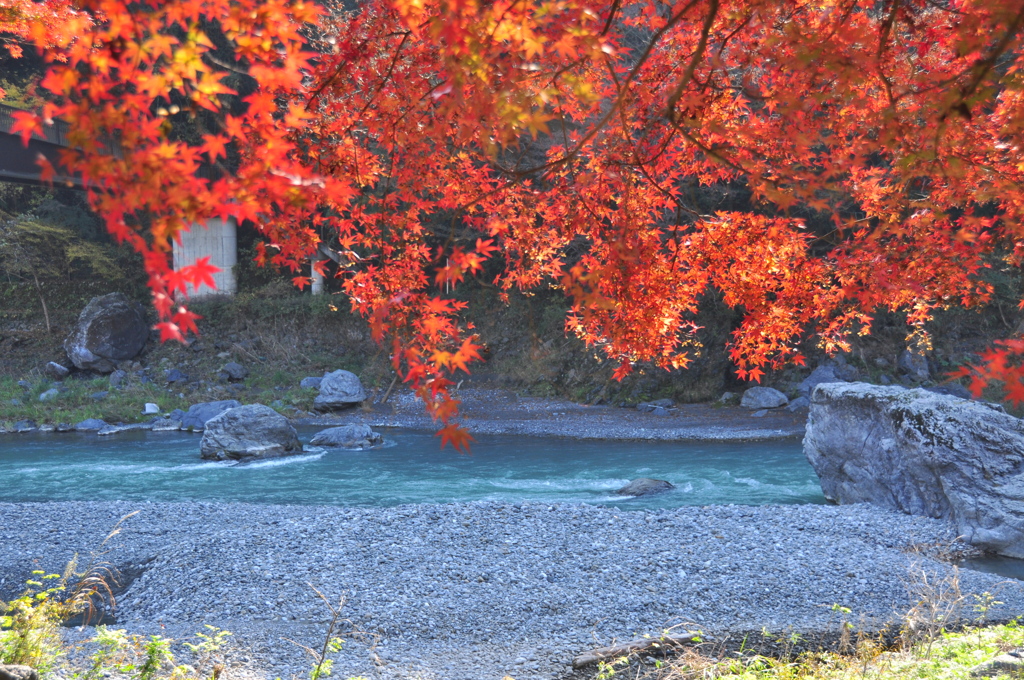 清流と紅葉　２