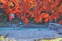 清流と紅葉　２