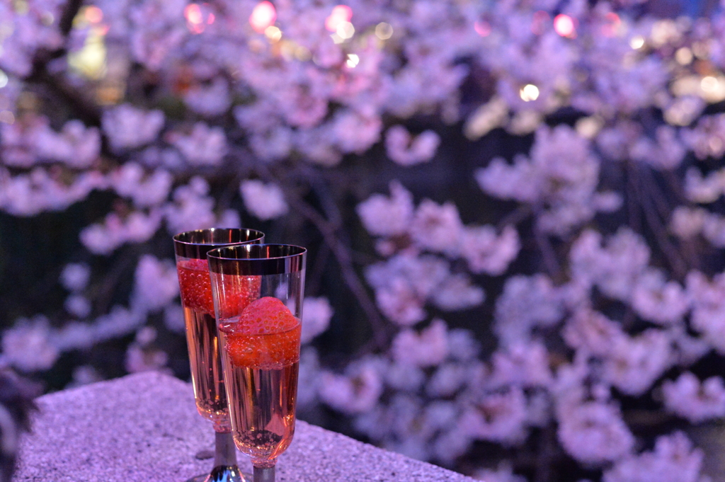 桜色　1