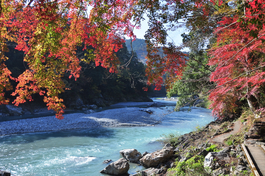 清流と紅葉　１
