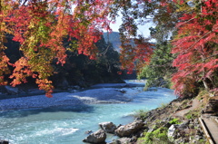 清流と紅葉　１