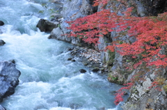 渓流と紅葉