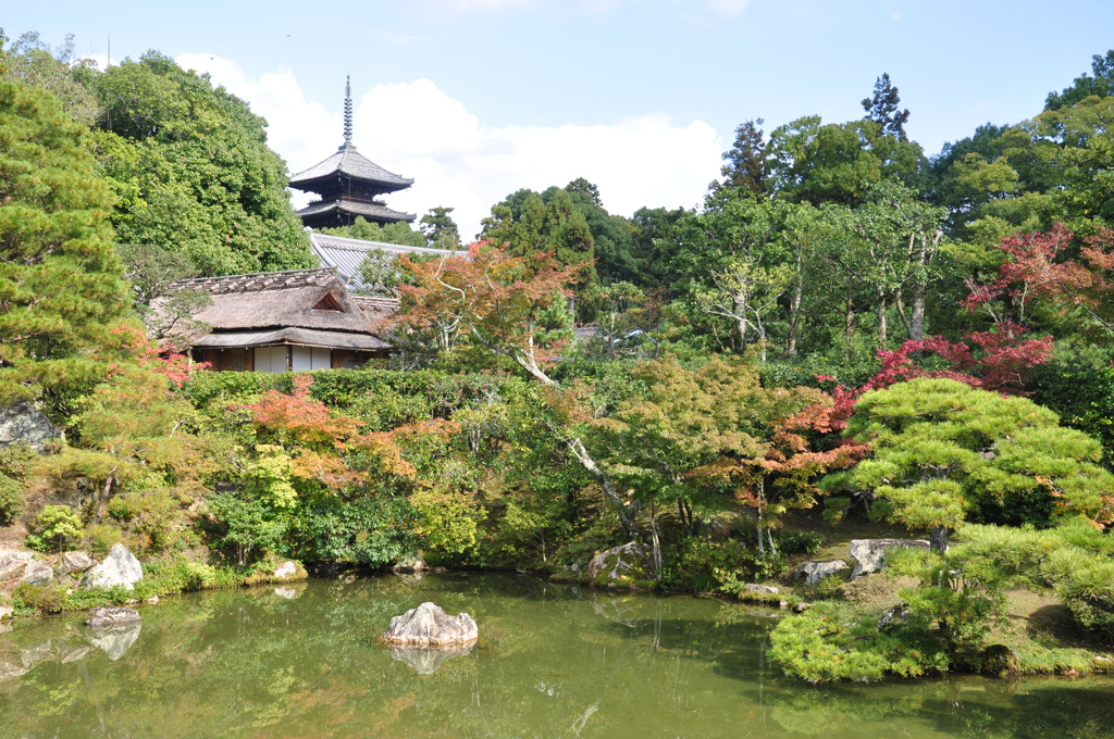 仁和寺