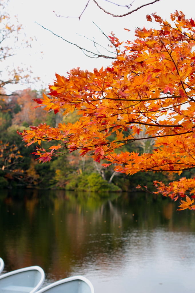 紅葉の十二湖