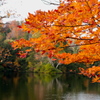 紅葉の十二湖