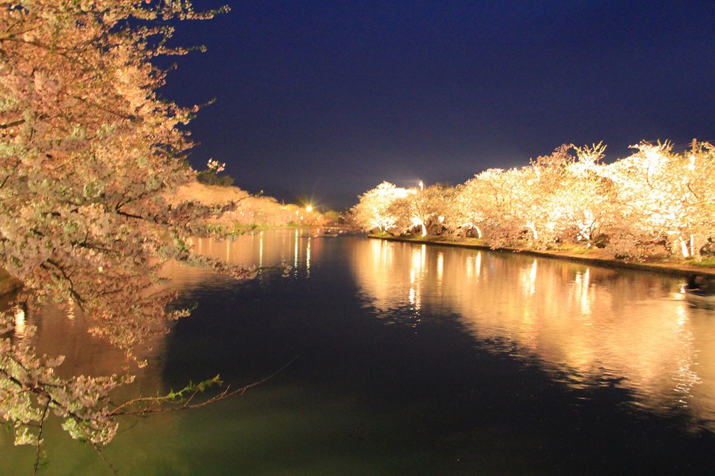 弘前公園　西堀　2013.5.8