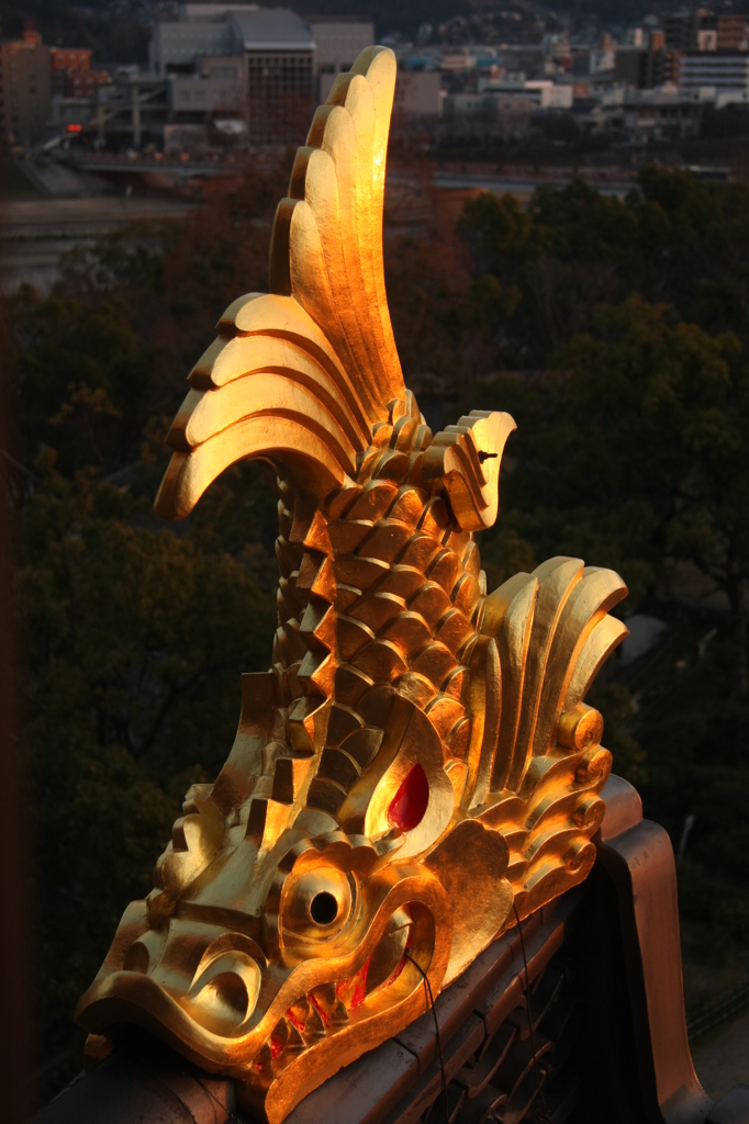 鯱と岡山の街並み