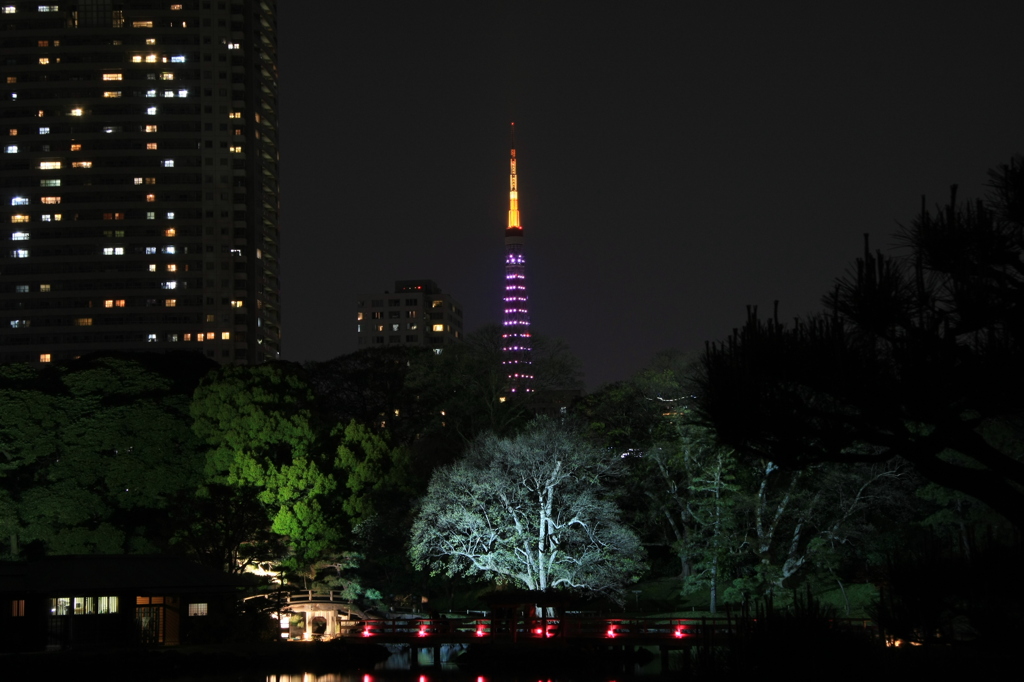 東京タワー