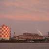 IMG_9688