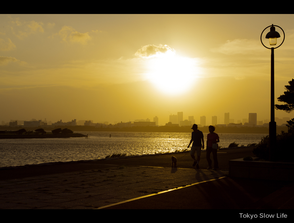 Tokyo Slow Life