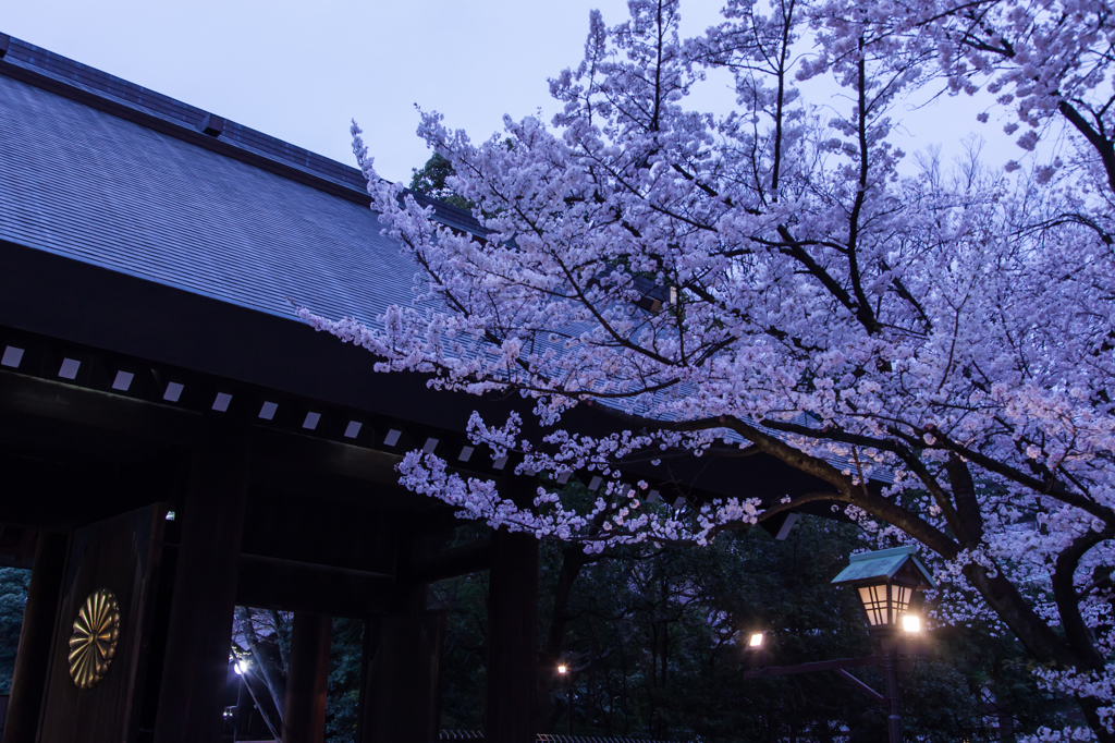 YASUKUNI #2