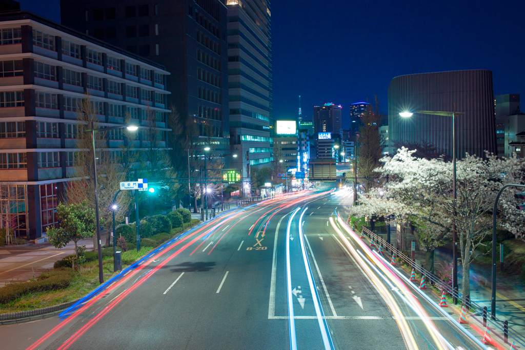 YASUKUNI STREET (Route 302)