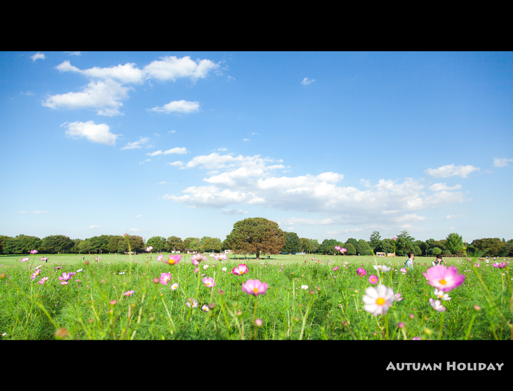 Autumn Holiday