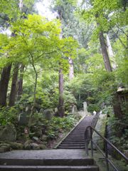 山寺の階段