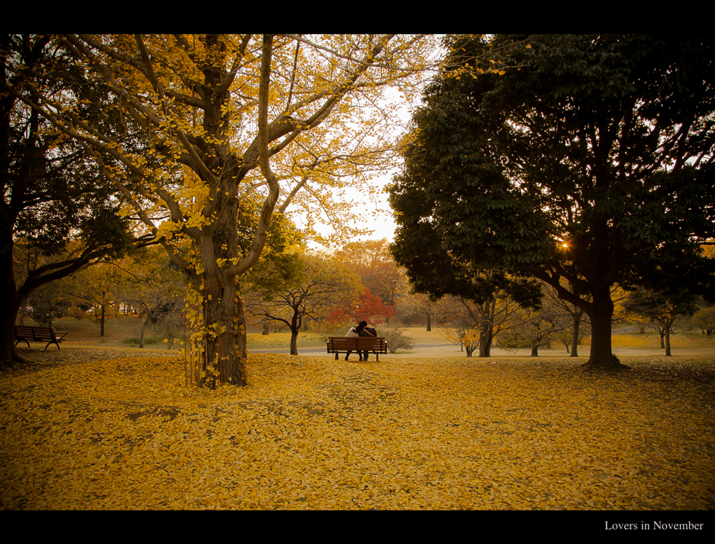 Lovers in November