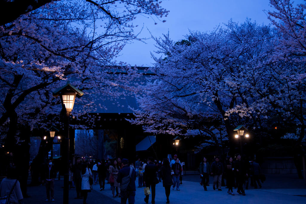 YASUKUNI #6