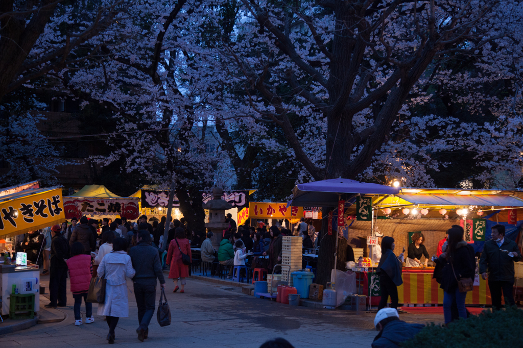 YASUKUNI #13