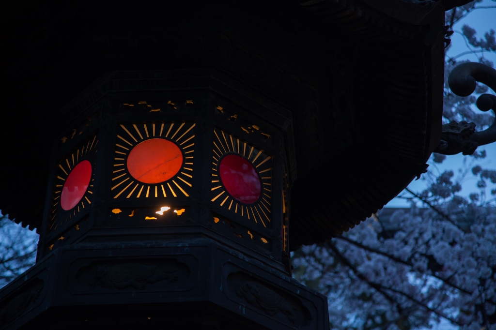 YASUKUNI #7