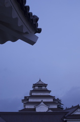 鶴ヶ城Ⅱ