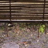 雨の朝