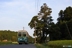 美しい村 公平