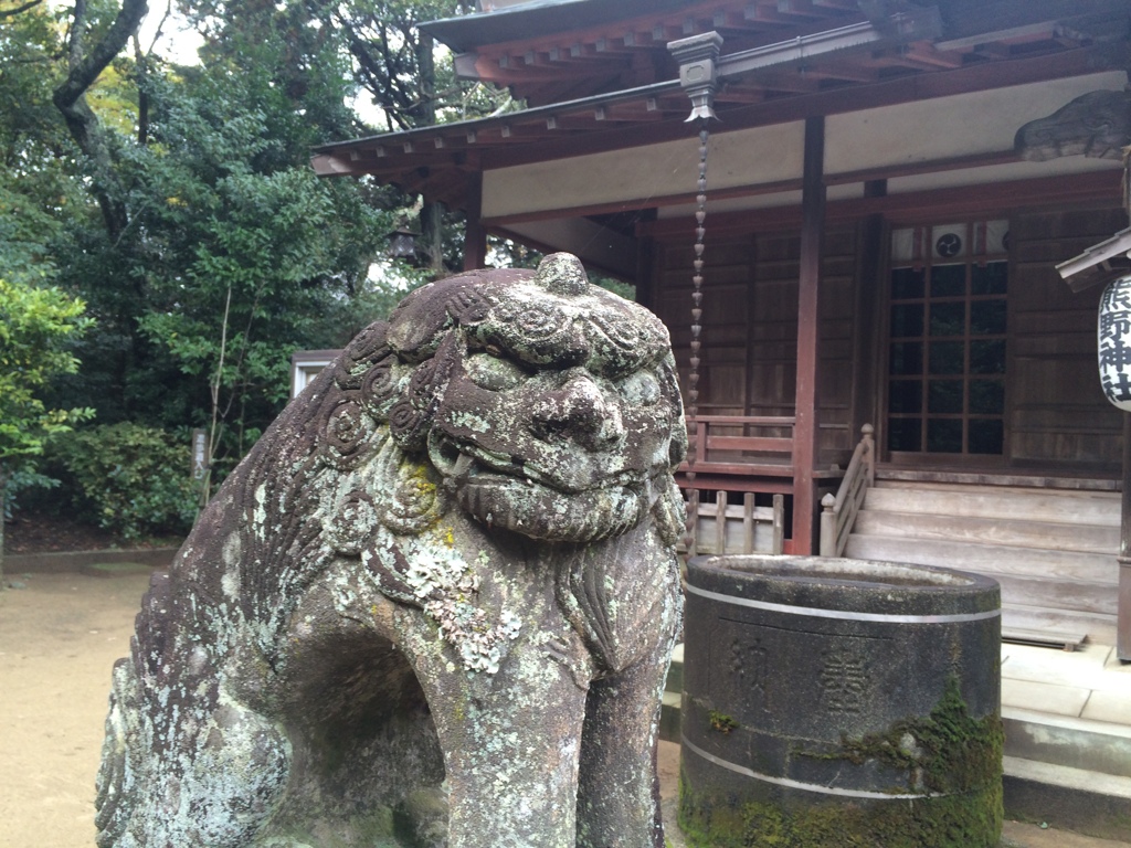 こまいぬさんは、猫背