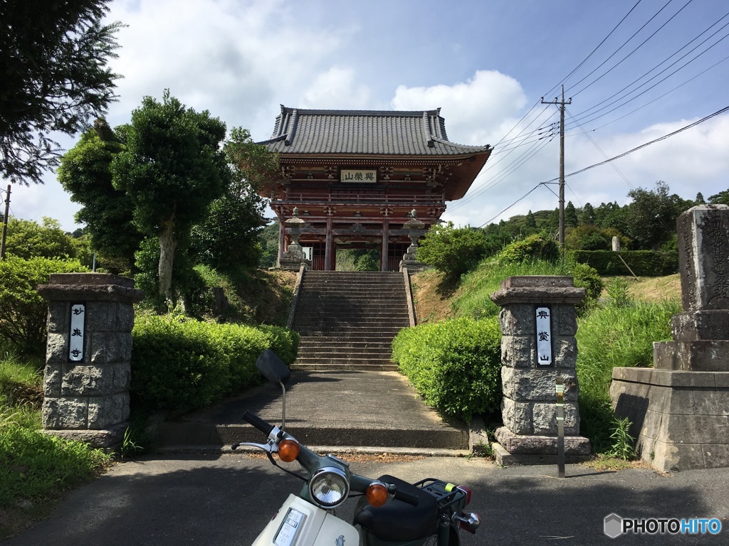 カブ散歩