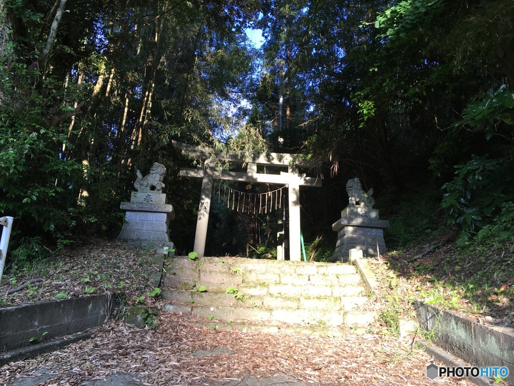朝日に照らされて