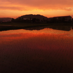 夕焼け小焼け