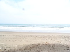 海2