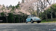 桜の木の下で・・・