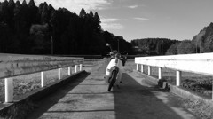 橋の上のカブ