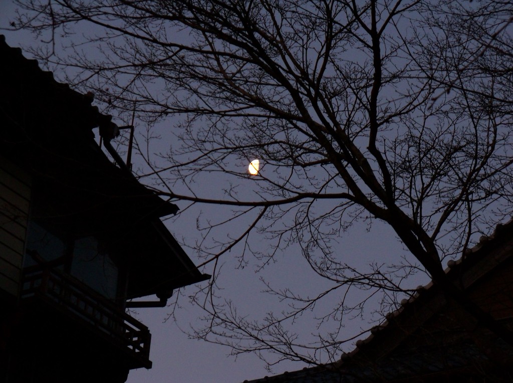 夜明けの月