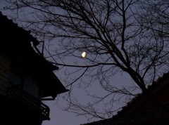 夜明けの月