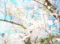負けるもんか
