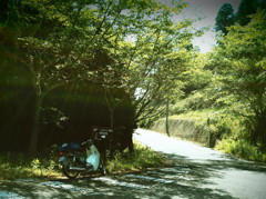 好きな山道