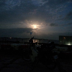 夜明け前のカブ